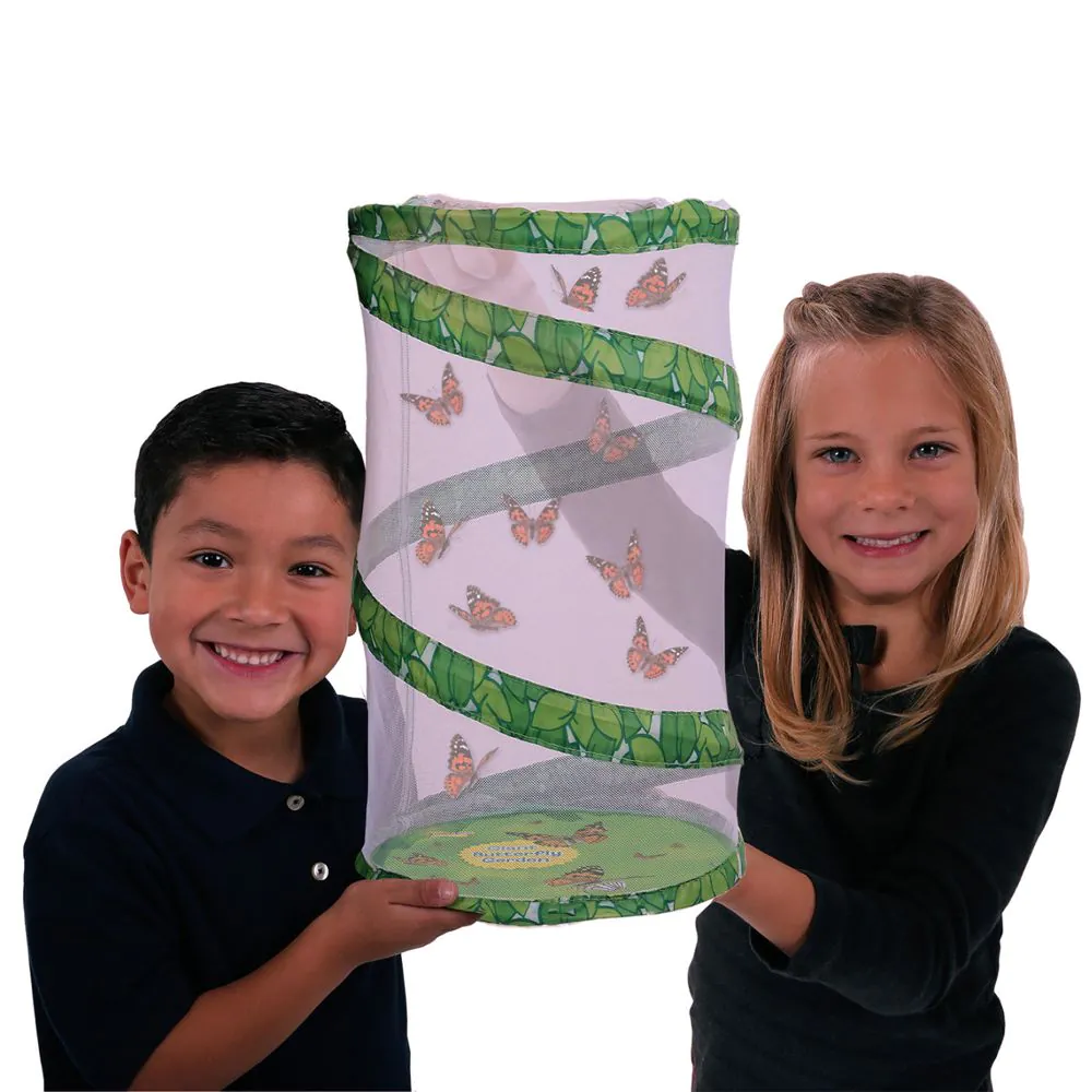 Giant Butterfly Garden - Image 2