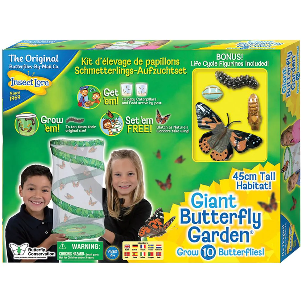 Giant Butterfly Garden - Image 3