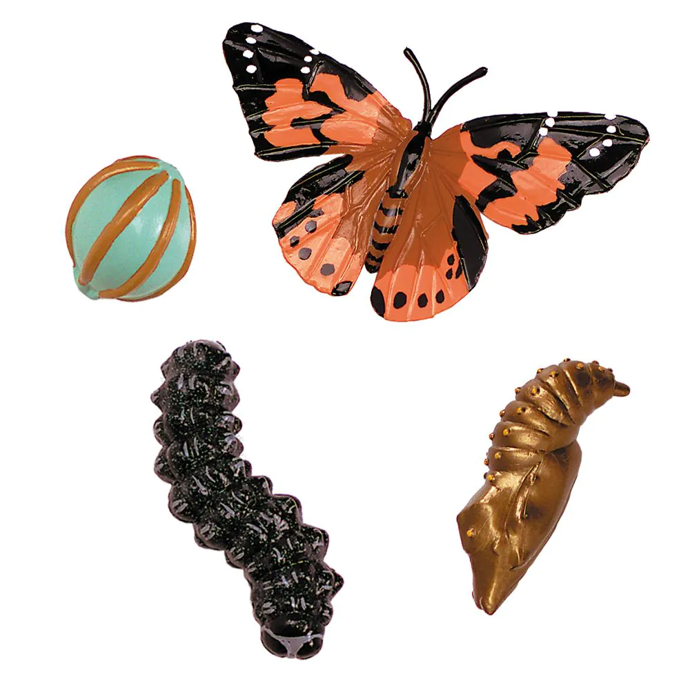 Giant Butterfly Garden - Image 4