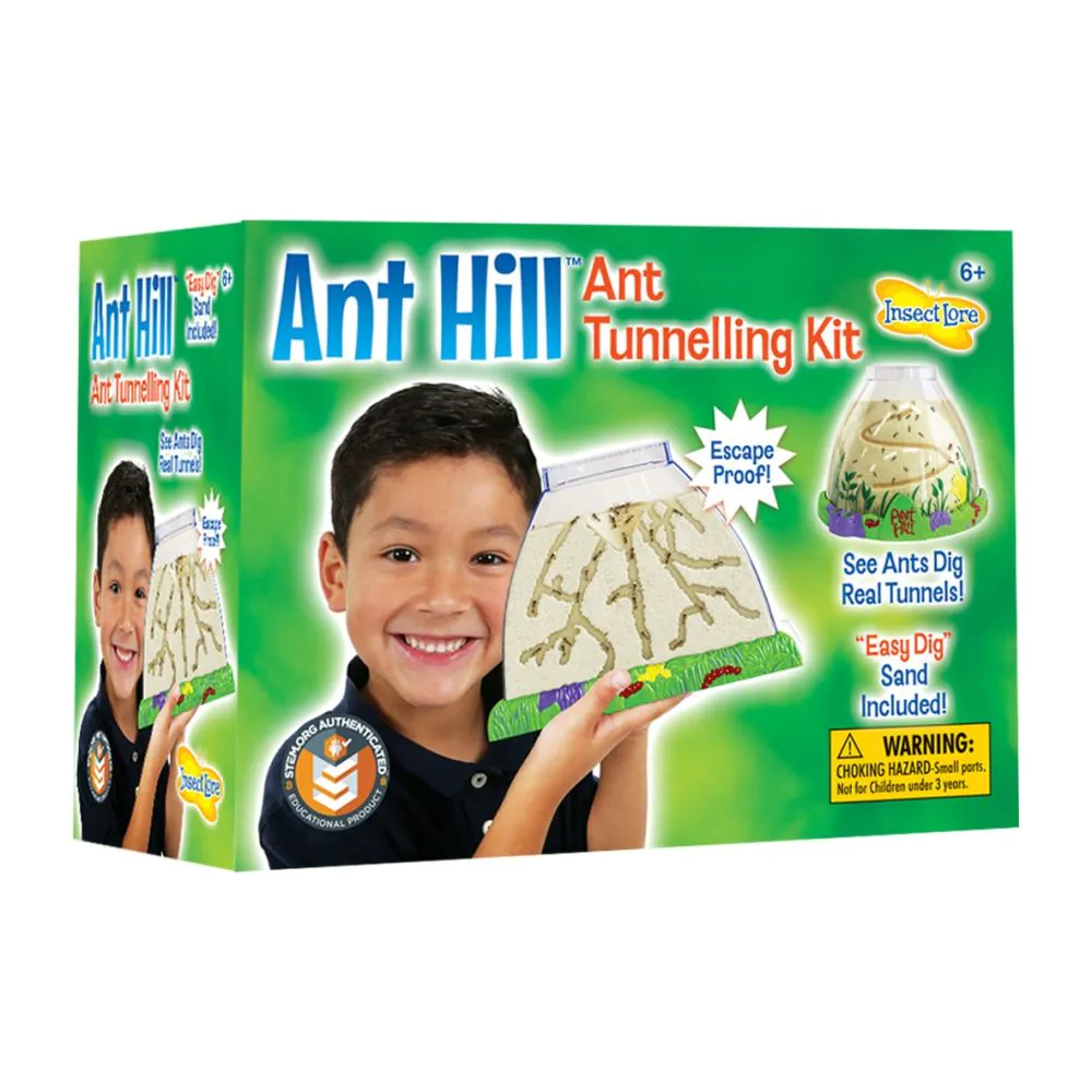 Ant Hill