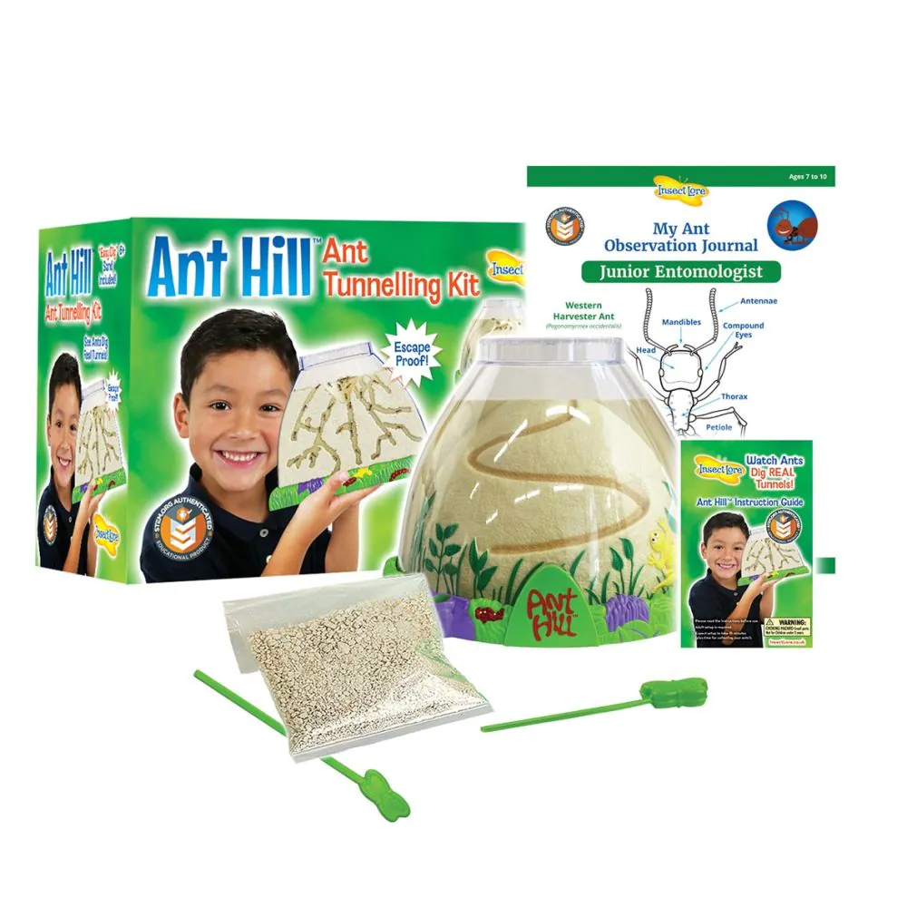 Ant Hill - Image 2