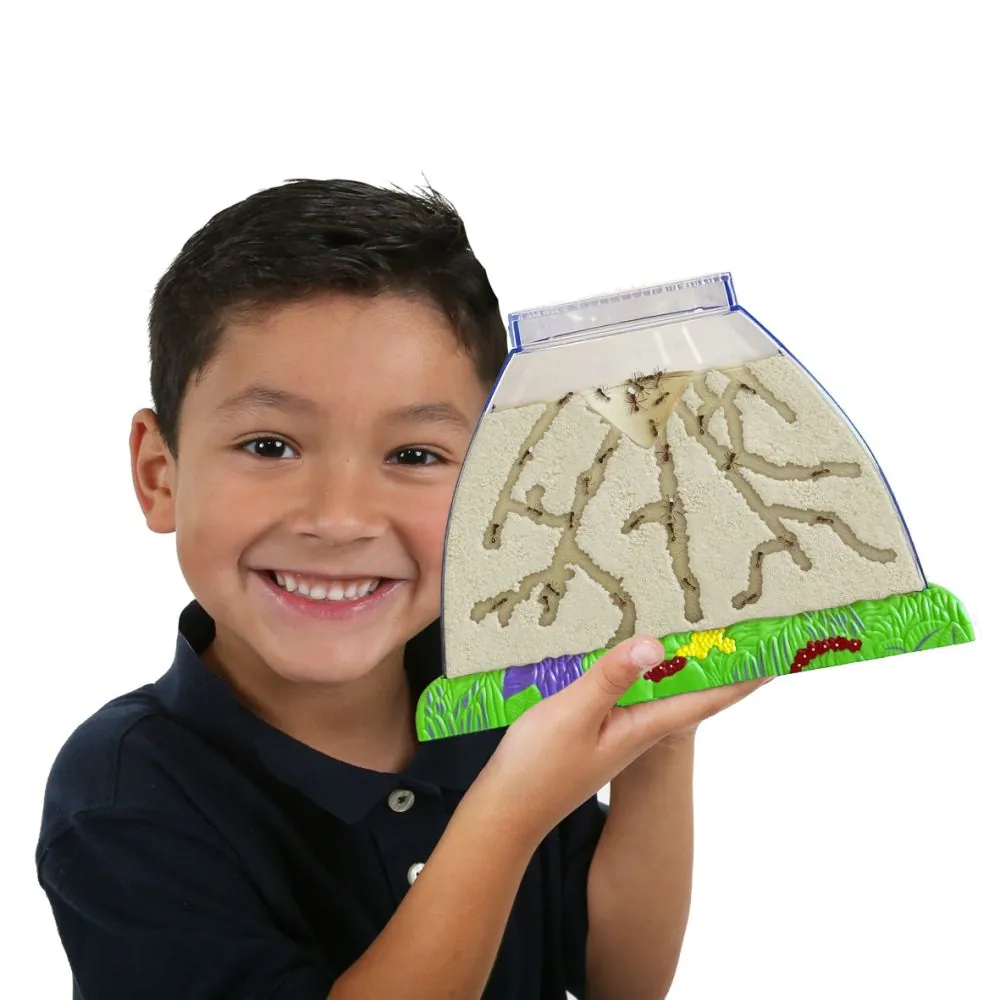 Ant Hill - Image 3